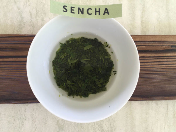 Sencha